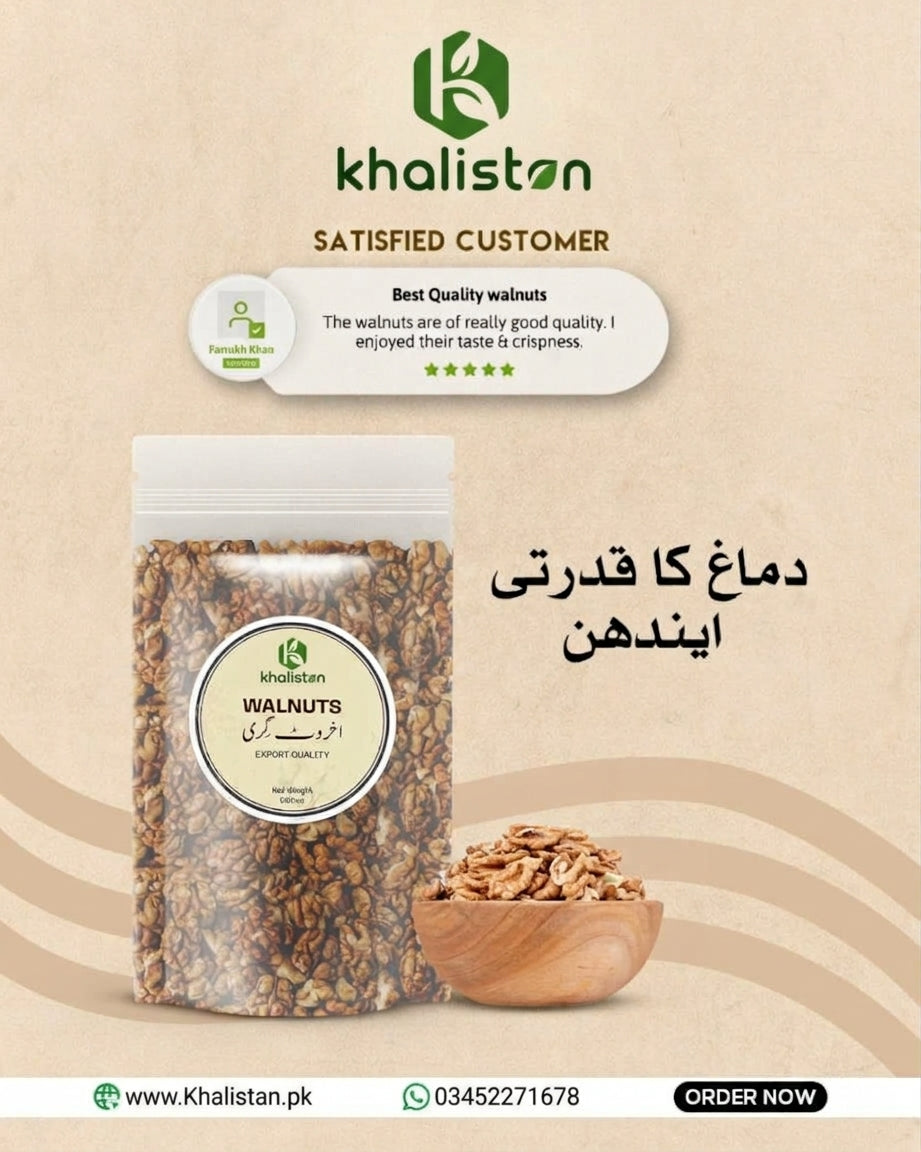 American Walnut Kernels